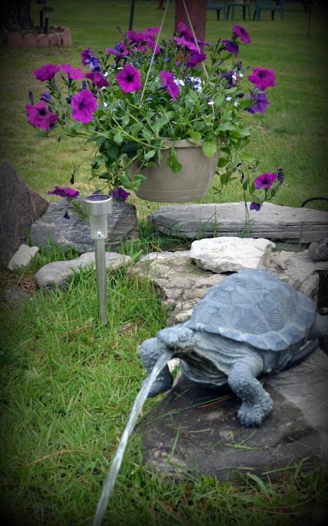 Tulip Inn Huntsville Dış mekan fotoğraf