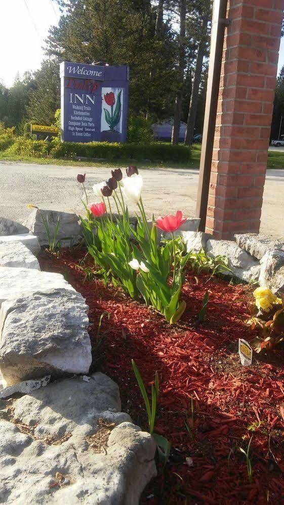 Tulip Inn Huntsville Dış mekan fotoğraf